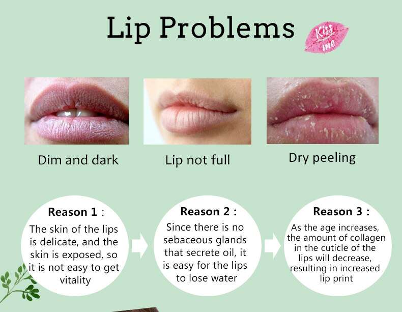 Shea Butter Moisturizing Colored Lip Balm